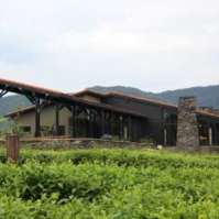 Nyungwe Forest Lodge-Nyungwe Rwanda